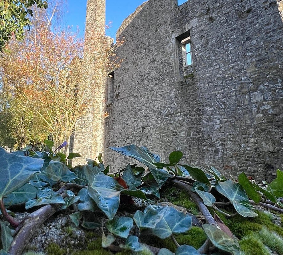 Monanimy Castle, Ireland